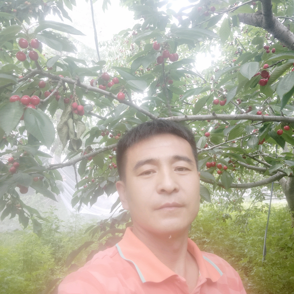 魁梧苦恋溪流的照片