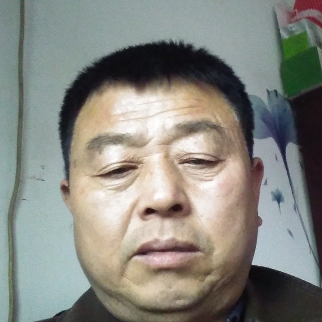 仙人掌爱执着的照片