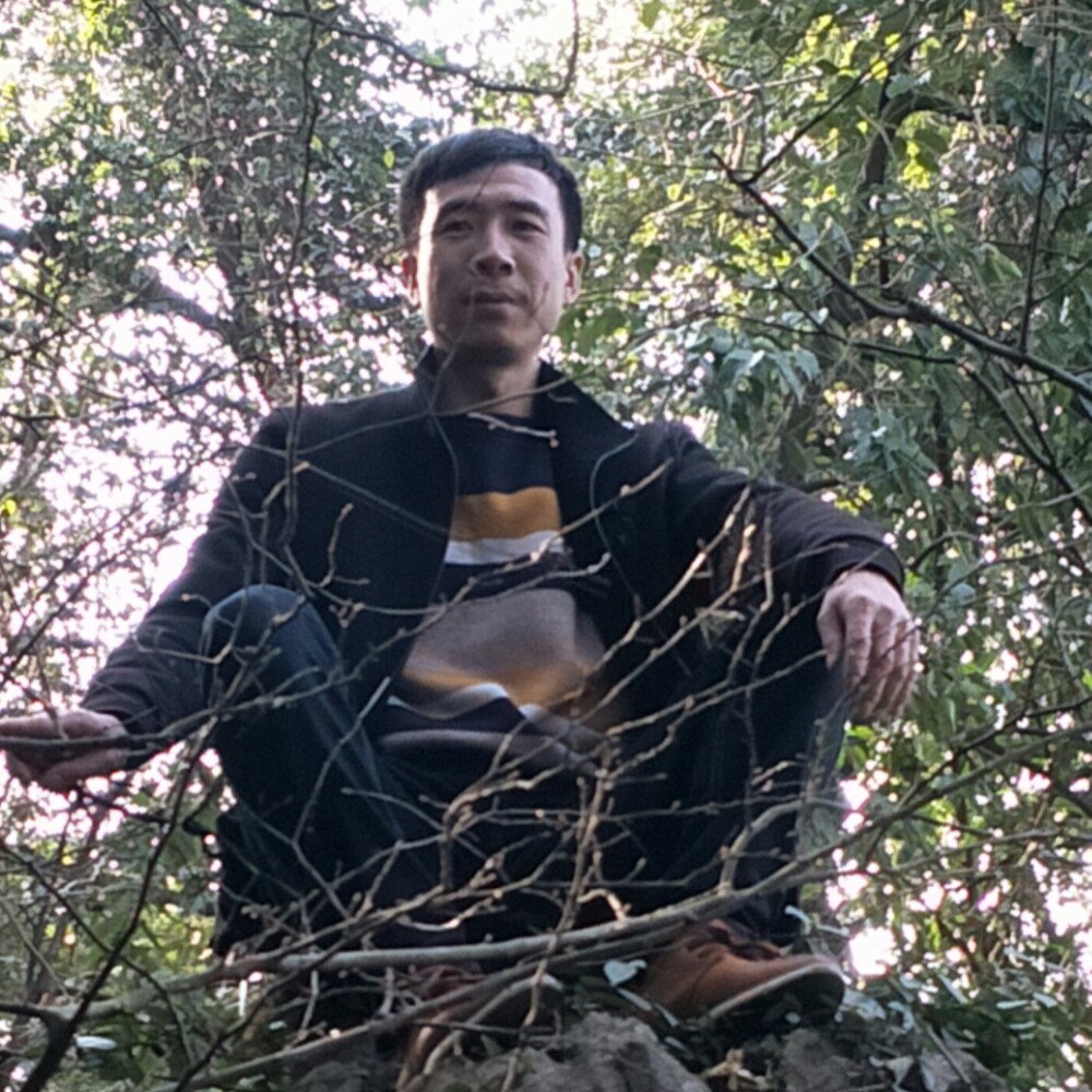季节有优美的照片