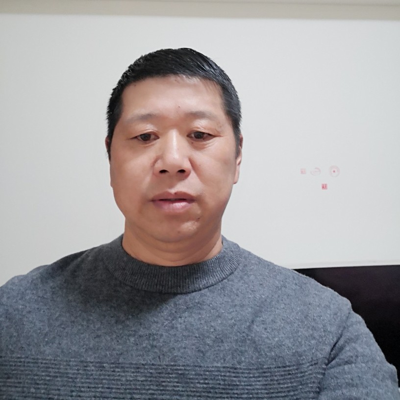 激动停止狗的照片