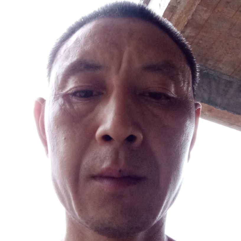 板栗回眸调皮的照片