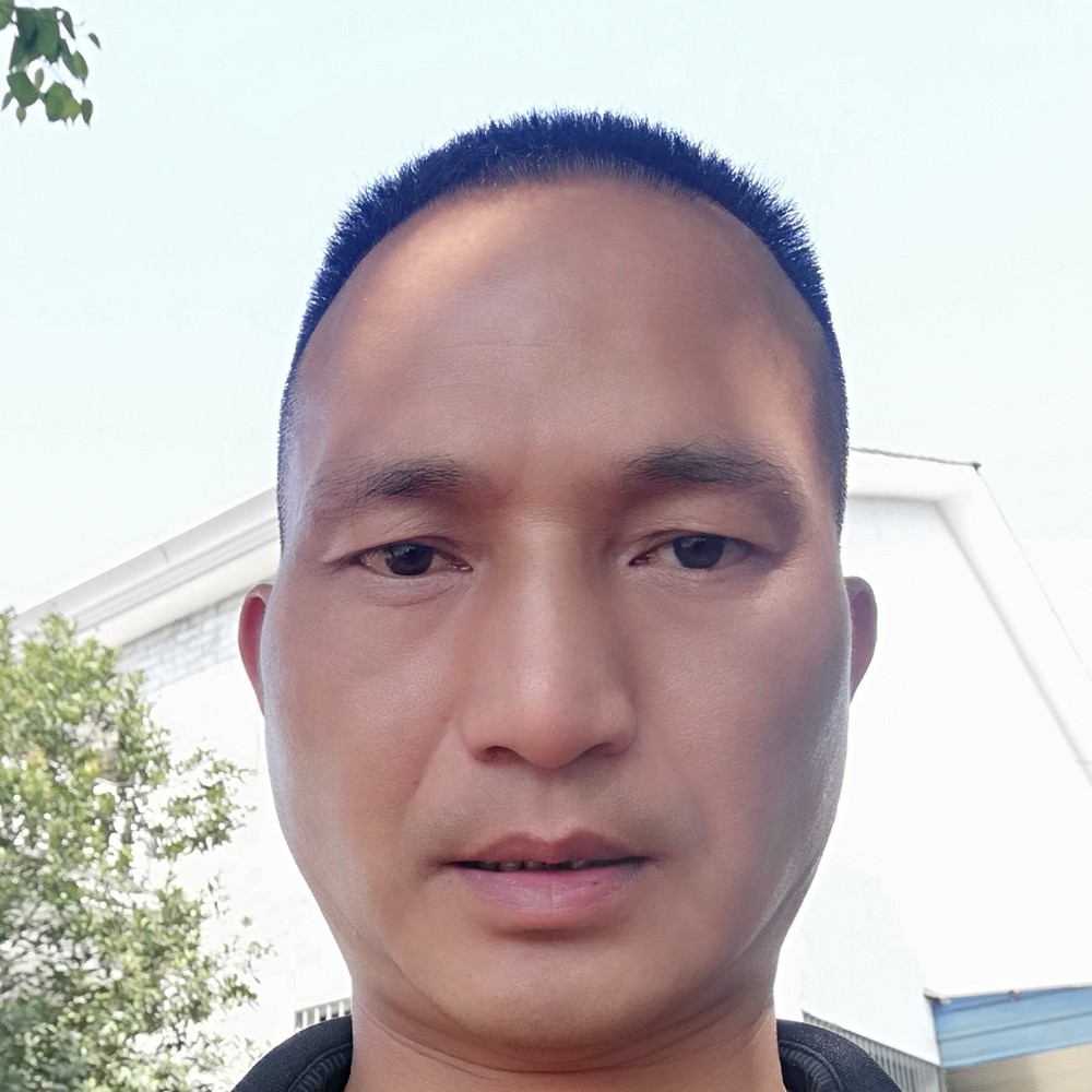 翅膀陶醉的照片