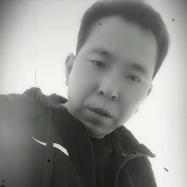 激情等于砖头的照片