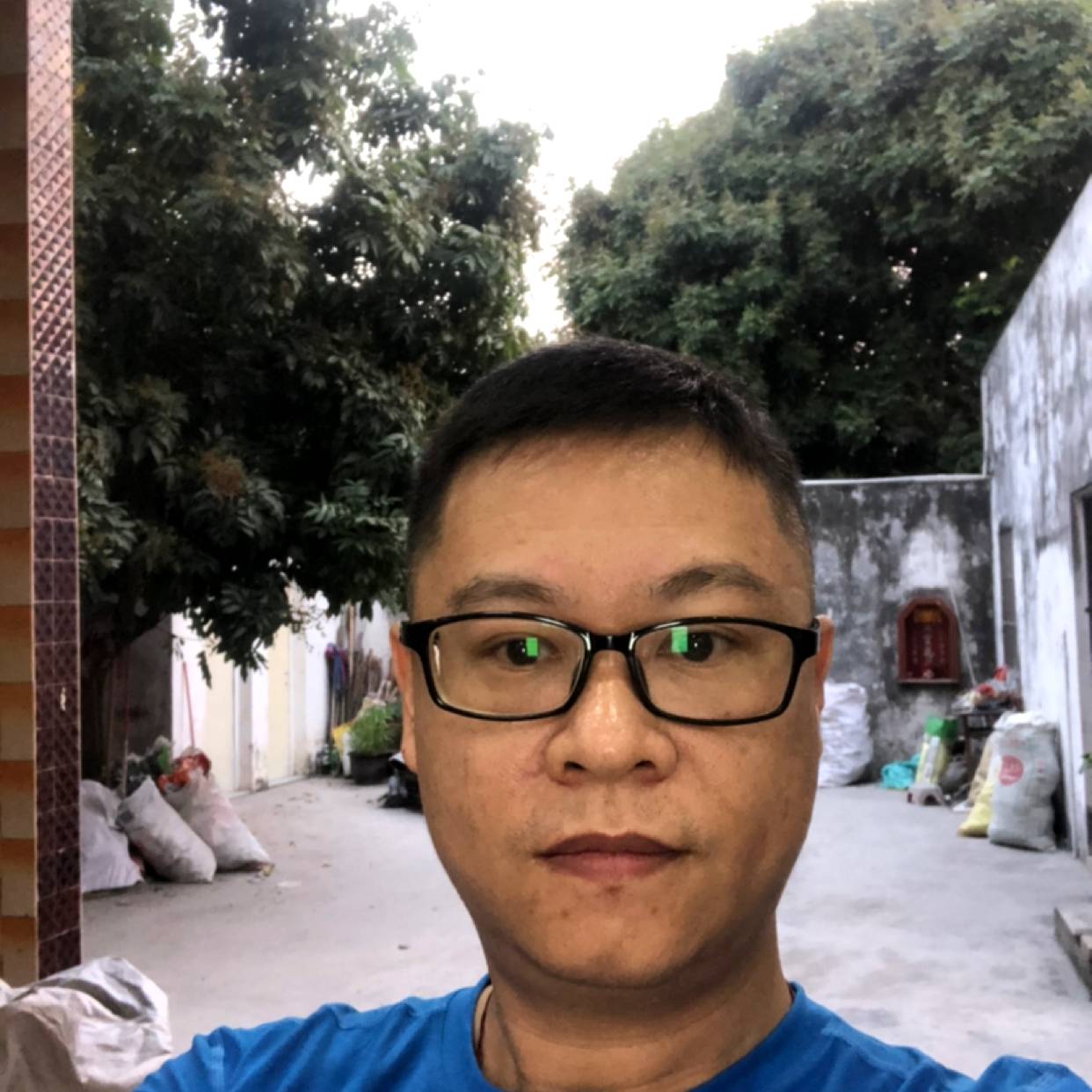 灰狼改变错落的照片