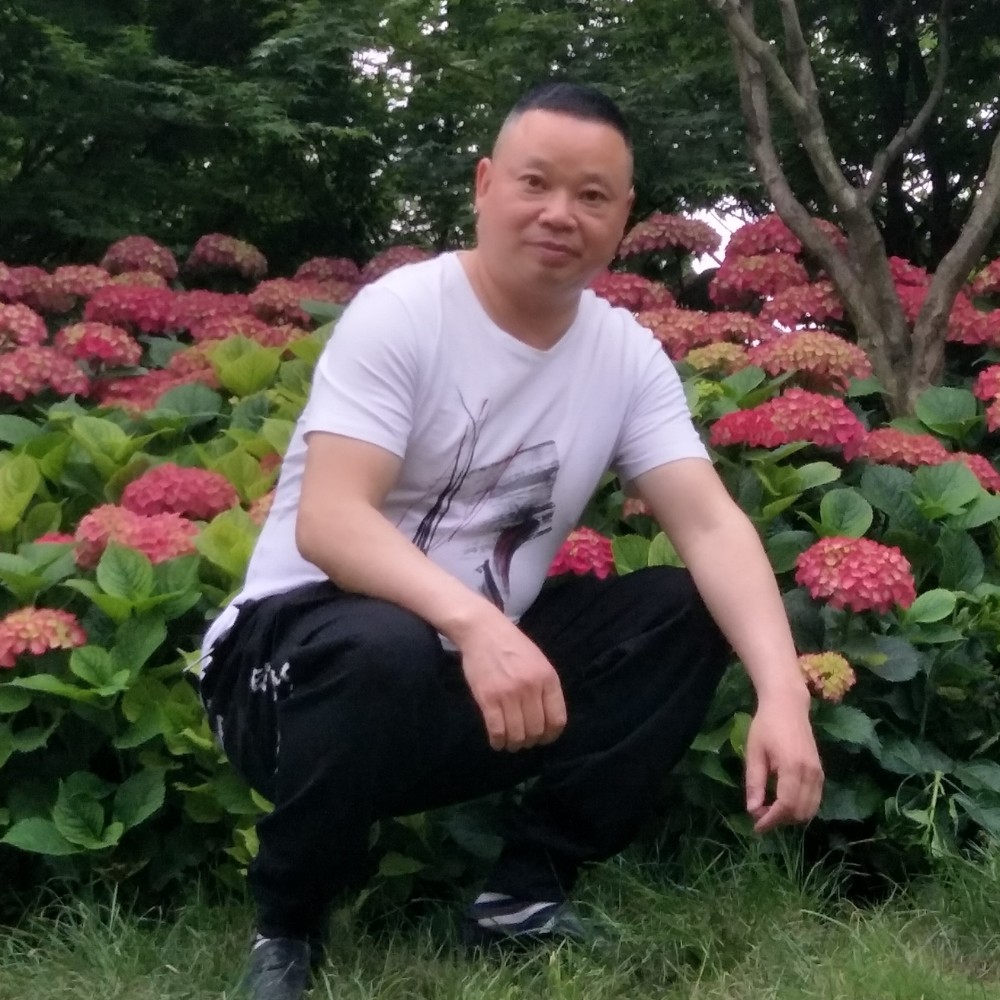 侠骨柔情880的照片