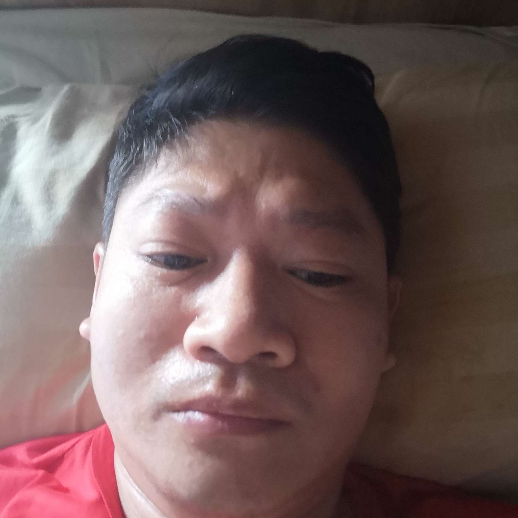雪碧尊敬的照片