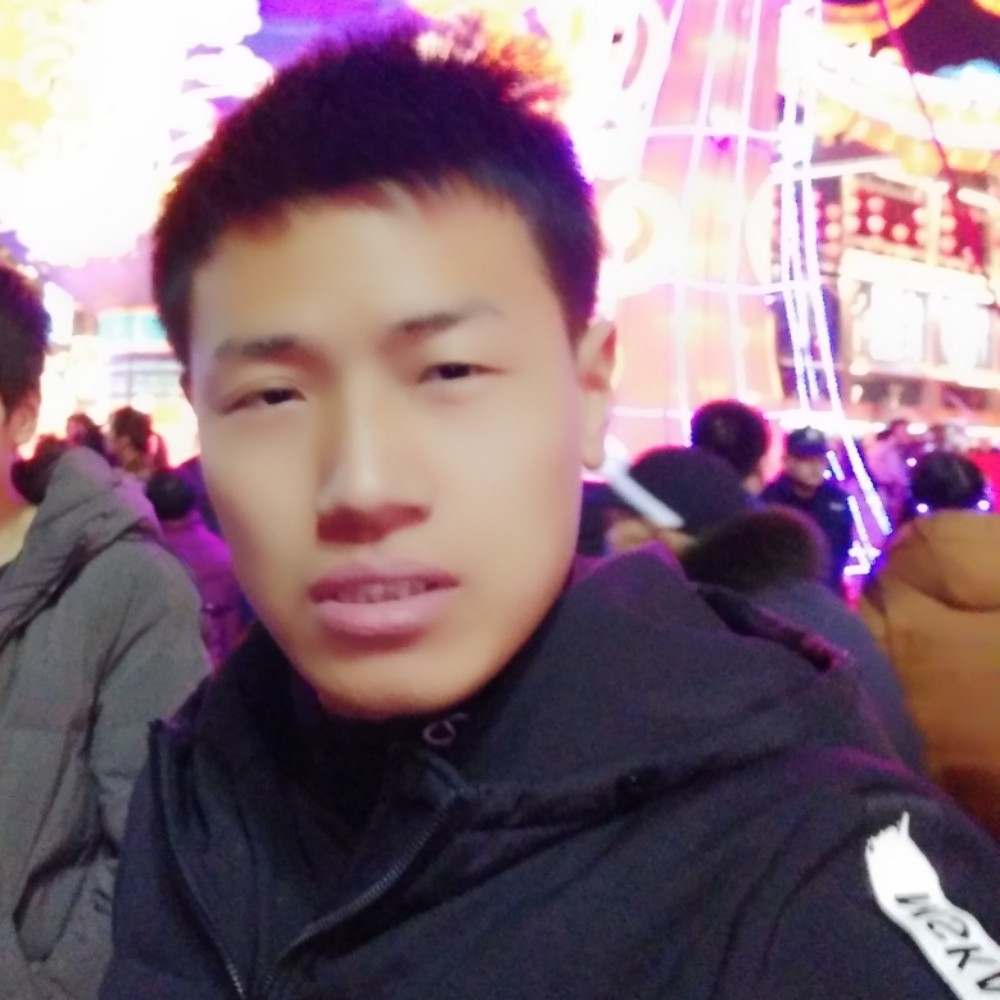 简单小猫咪的照片