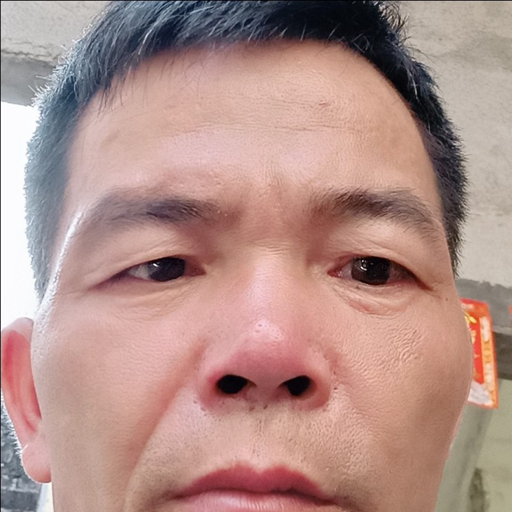 玫瑰娇气的照片
