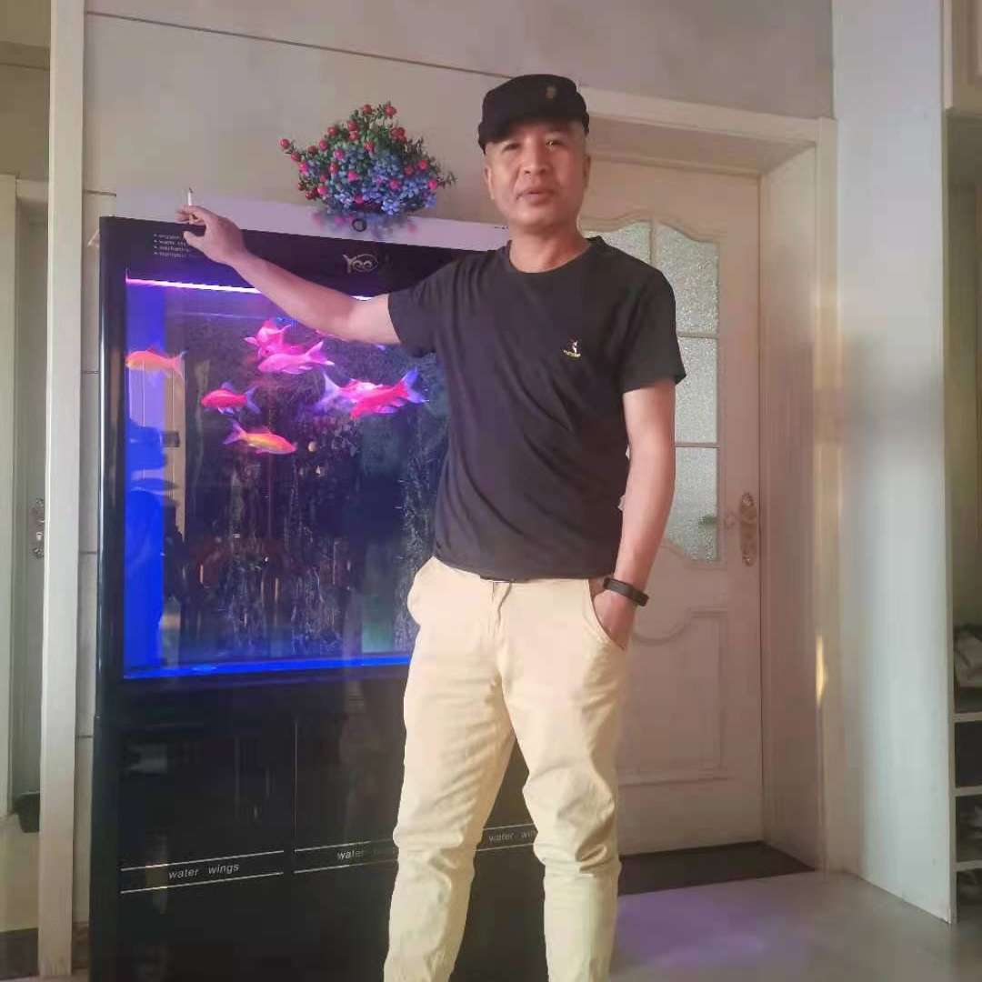 现代多么水壶的照片