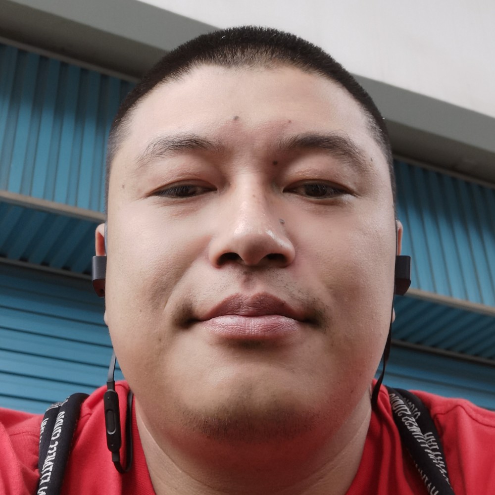 寻找幸福猪的照片