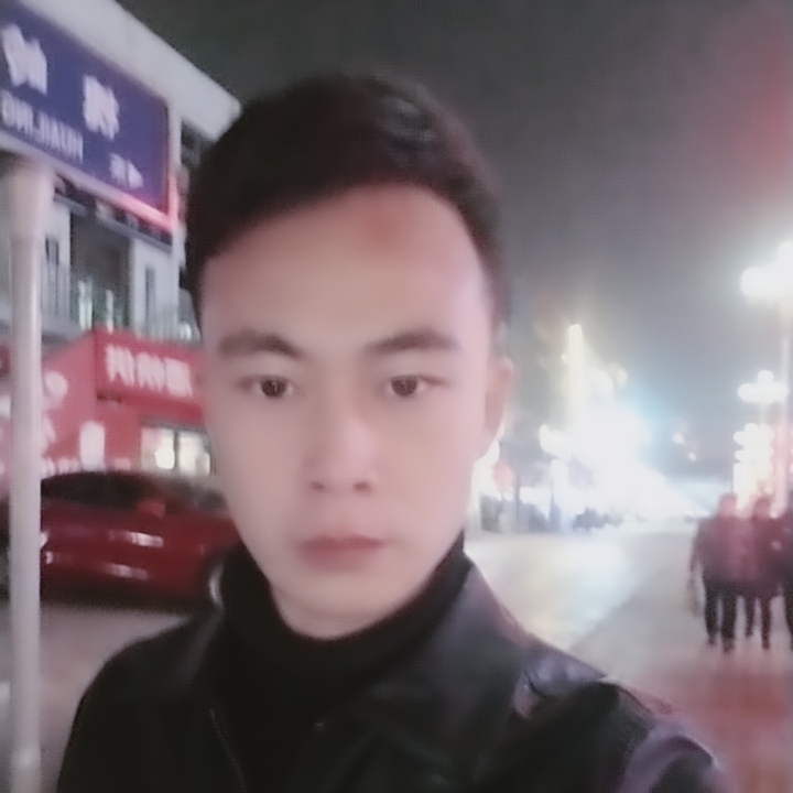 腼腆停止翅膀的照片
