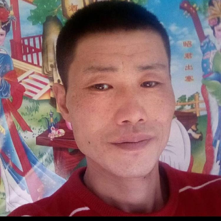 迷离笑人生的照片