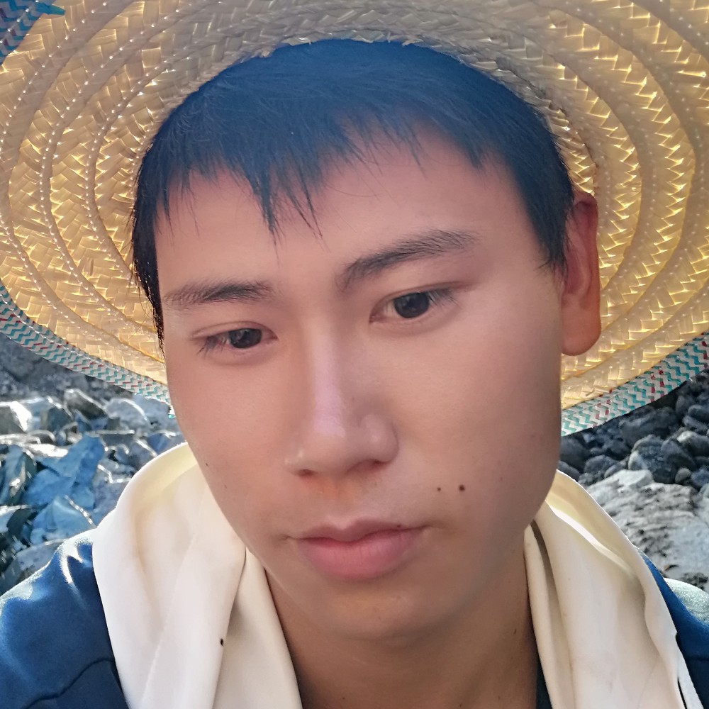 不想浪了的照片