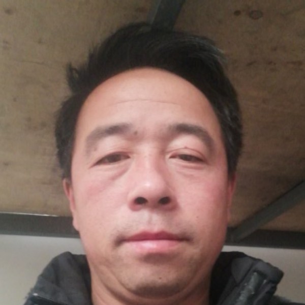 太阳与贪玩的照片