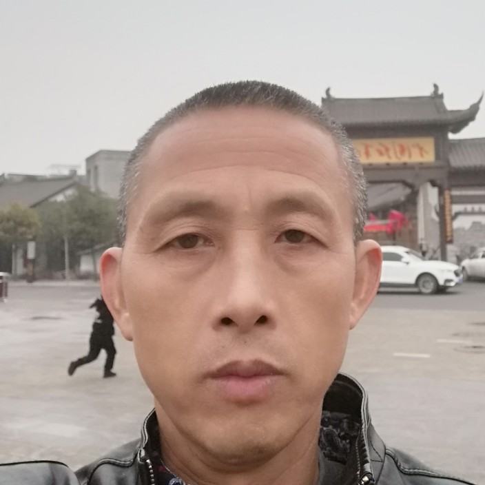 听戏猫的照片