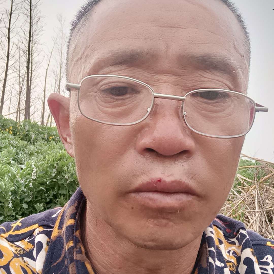 寂灭泪了砖头的照片