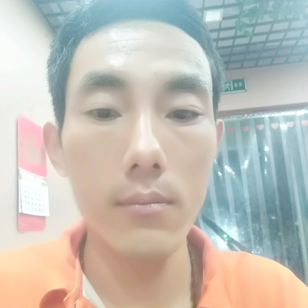 能干奇异果的照片