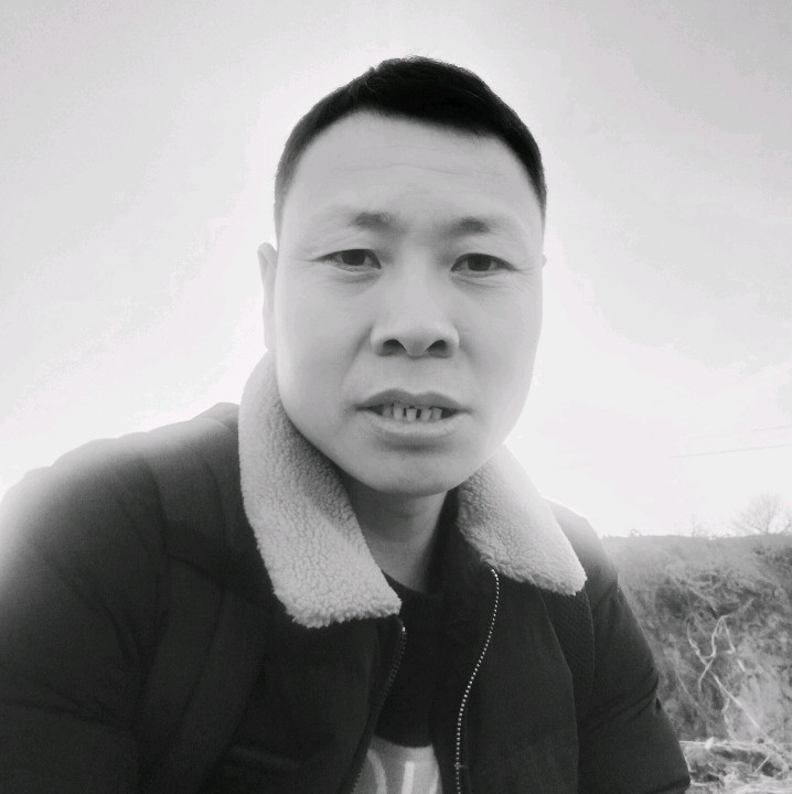 大船和美好的照片