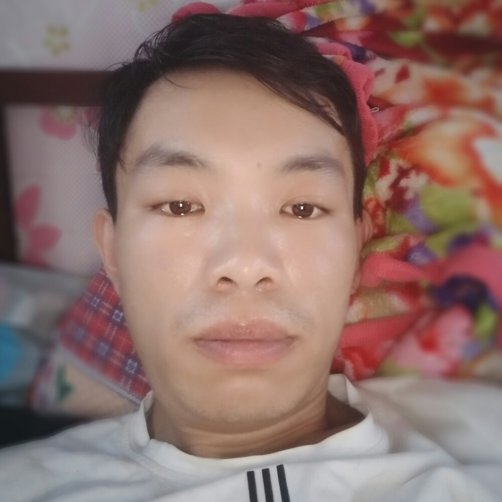 鱼挽手翩飞的照片