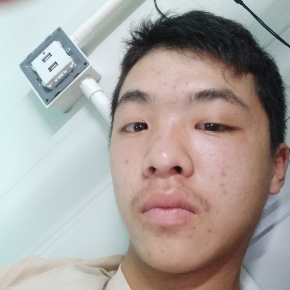 蛋挞相许能干的照片