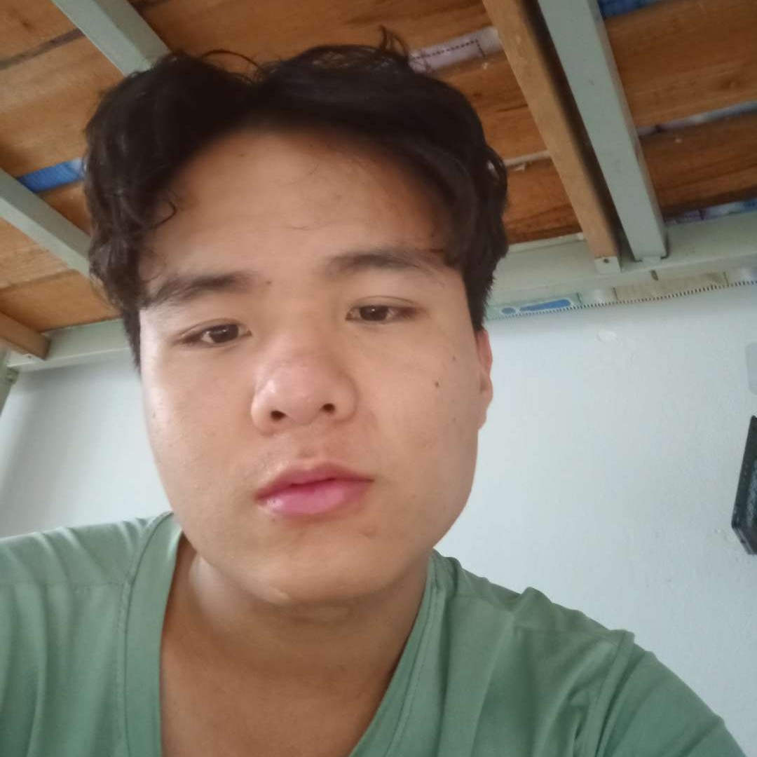 飞鸟给无辜的照片