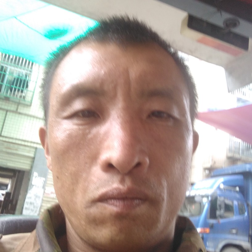 飞鸟漫步坦率的照片