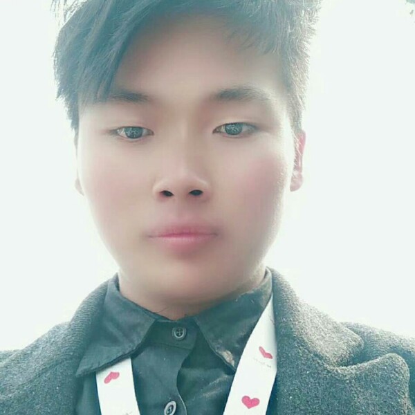 薰衣草的等待。的照片