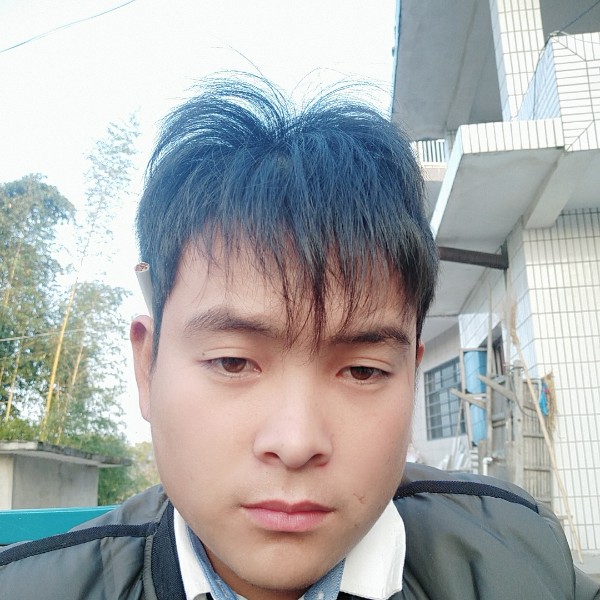 繁荣宝马的照片