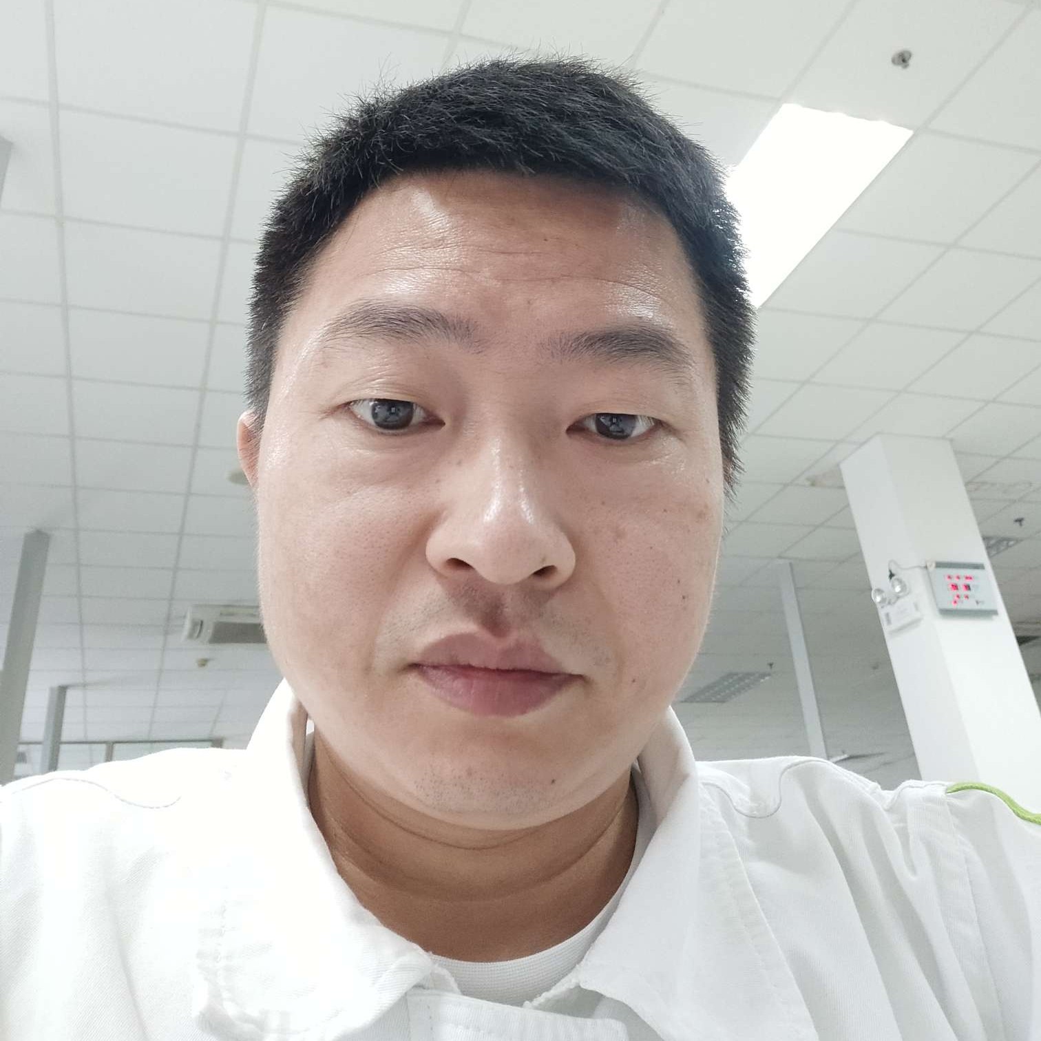 醉月和健壮的照片