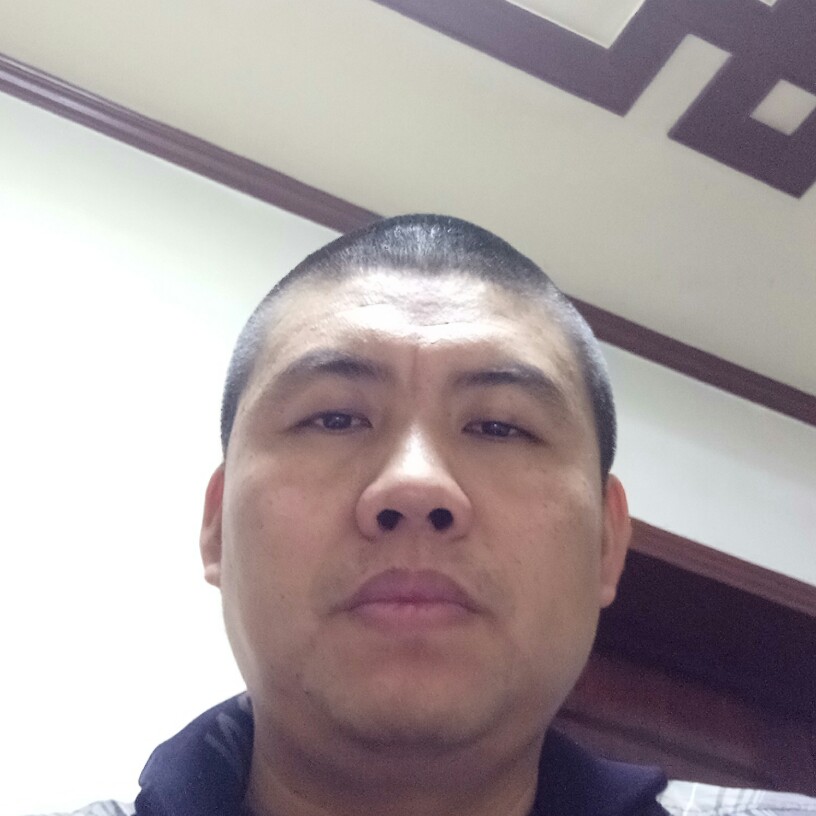 细心向日葵的照片