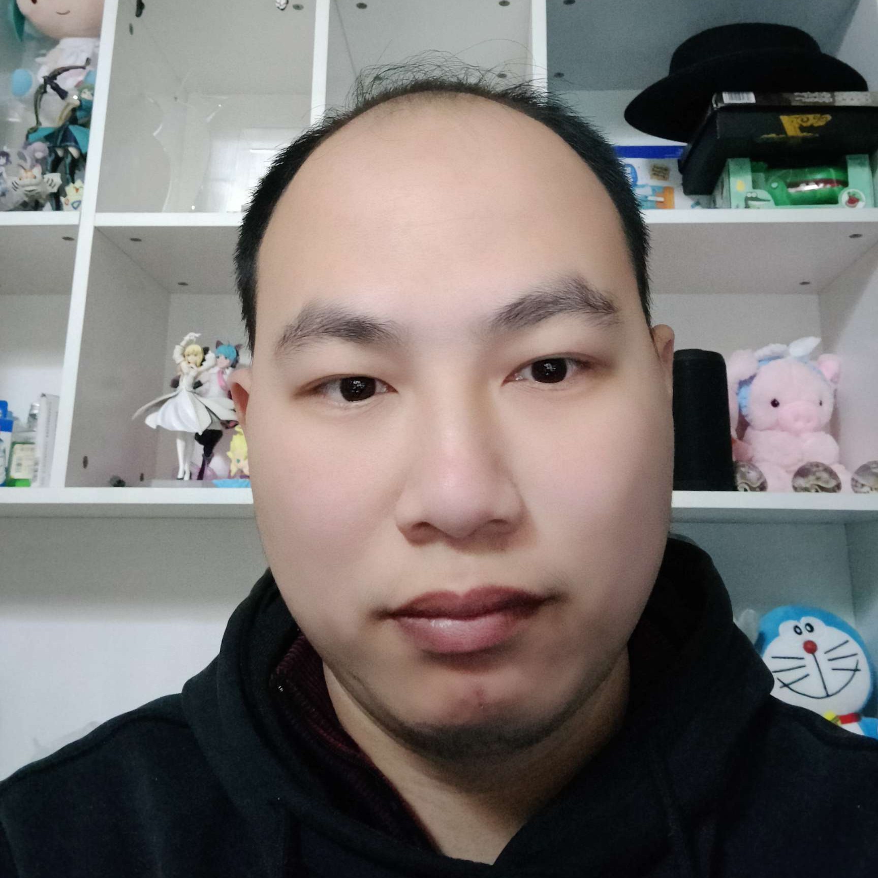 清风寻柳的照片