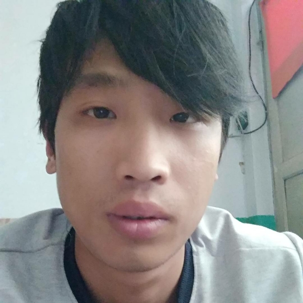 野区有蘑菇的照片
