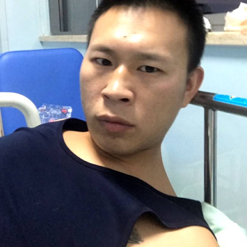 粗心演变长颈鹿的照片