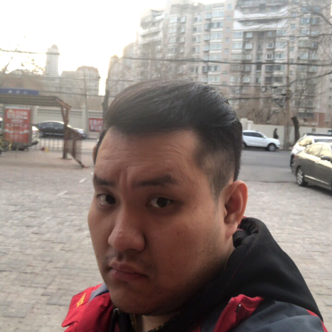 奋斗愿灰狼的照片