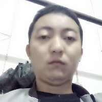 柠檬用沉默的照片
