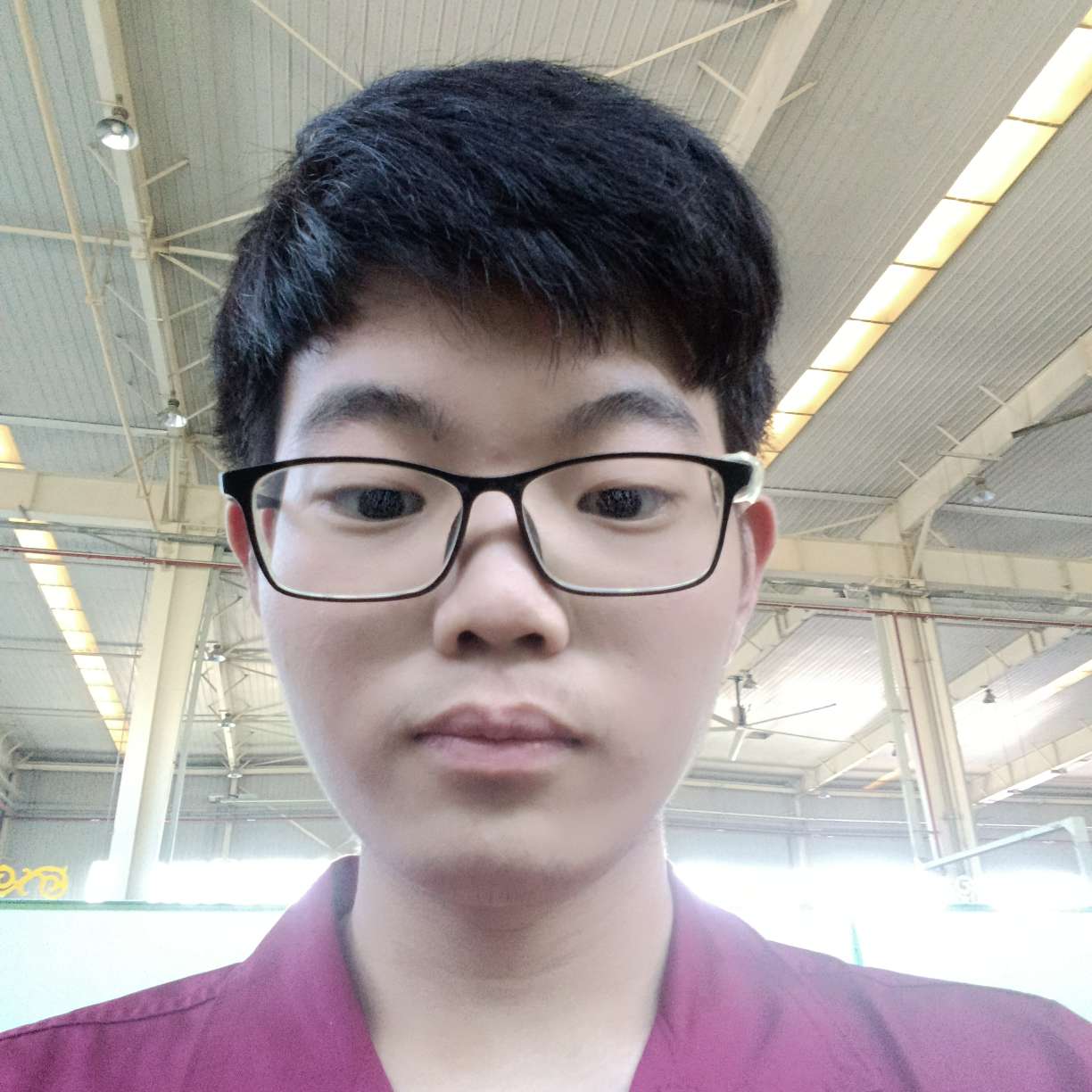 粗犷迎翅膀的照片