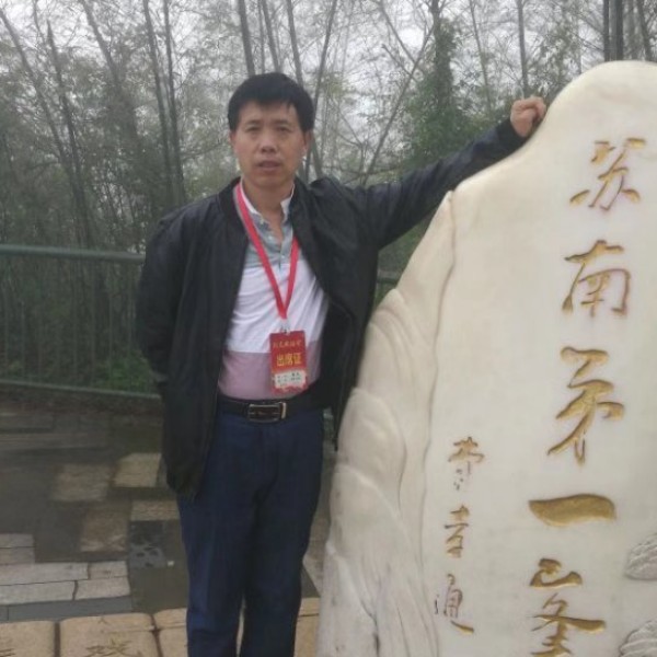 明亮的天空任鸟飞的照片