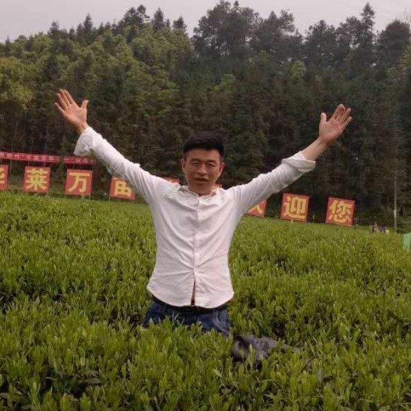 会员601594097的照片