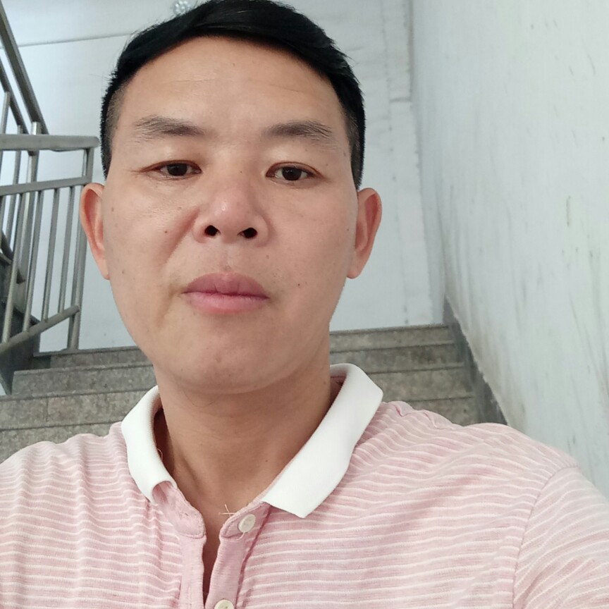 大雁满意的照片