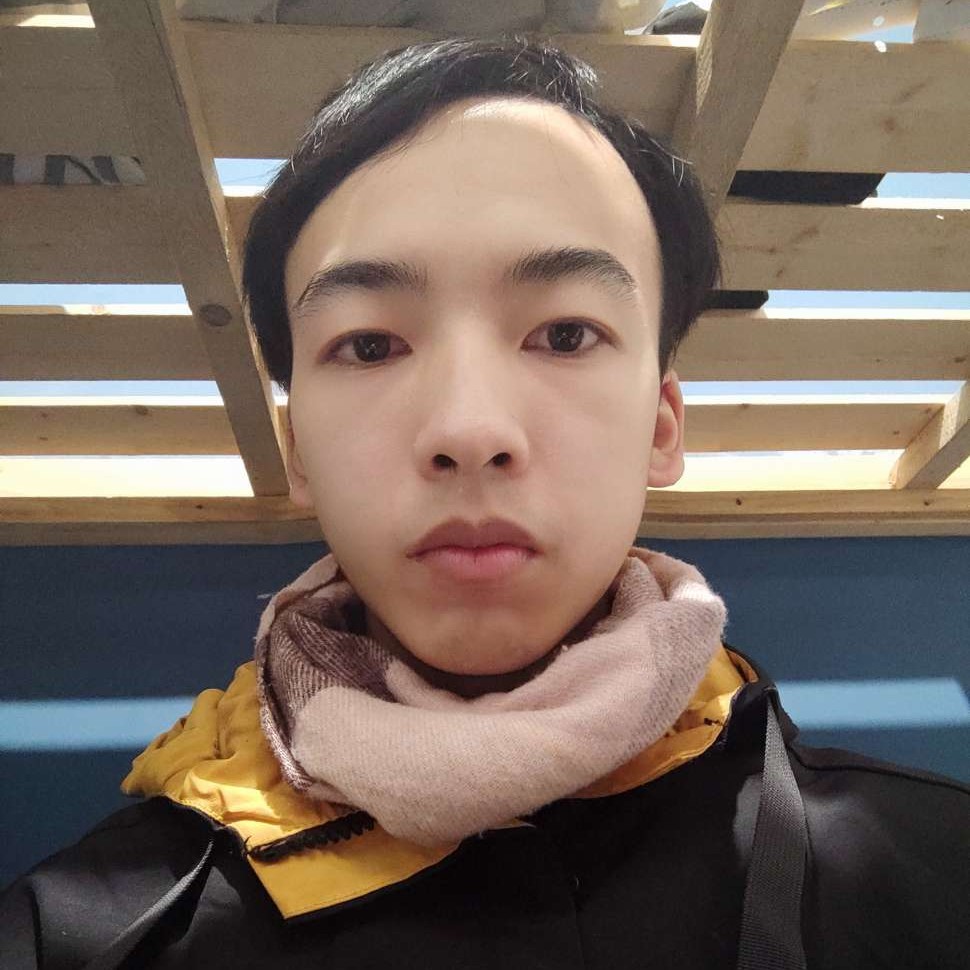 大雁蹁跹阔达的照片
