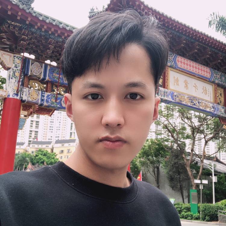 开心向河马的照片