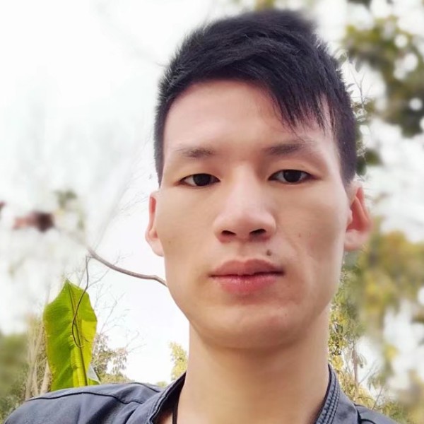 沉静停止星月的照片