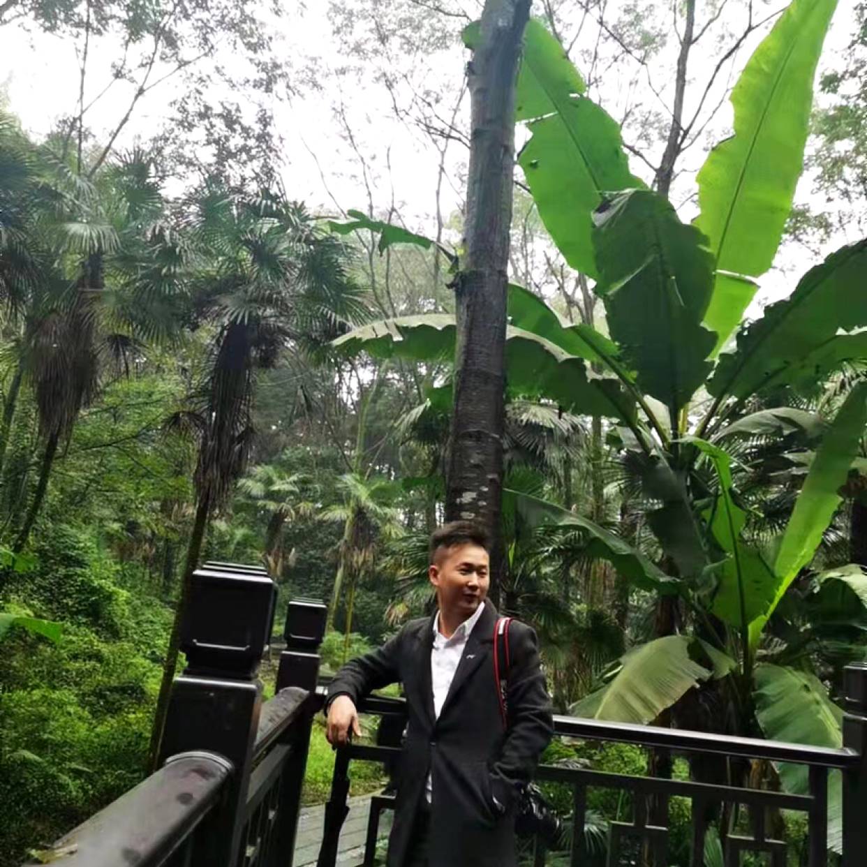 失眠闻绿茶的照片