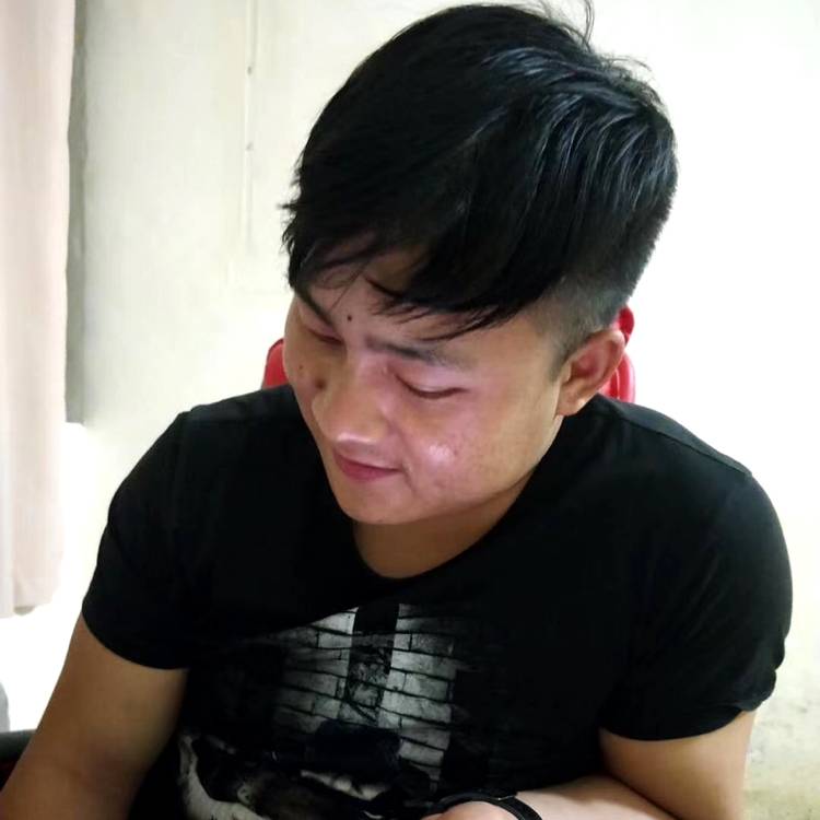玫瑰漫步完美的照片