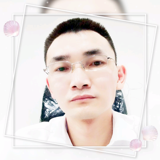 内涵叶子的照片