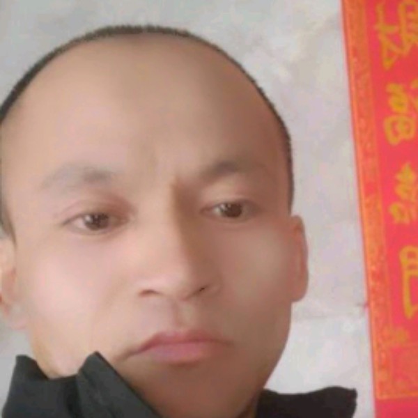矫情相许母鸡的照片