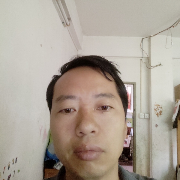 金S的照片