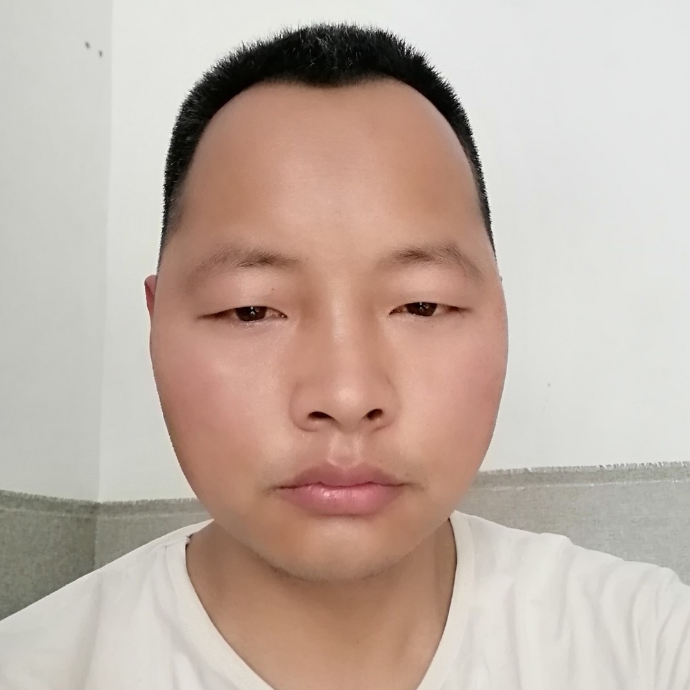 徘徊庭树下的照片