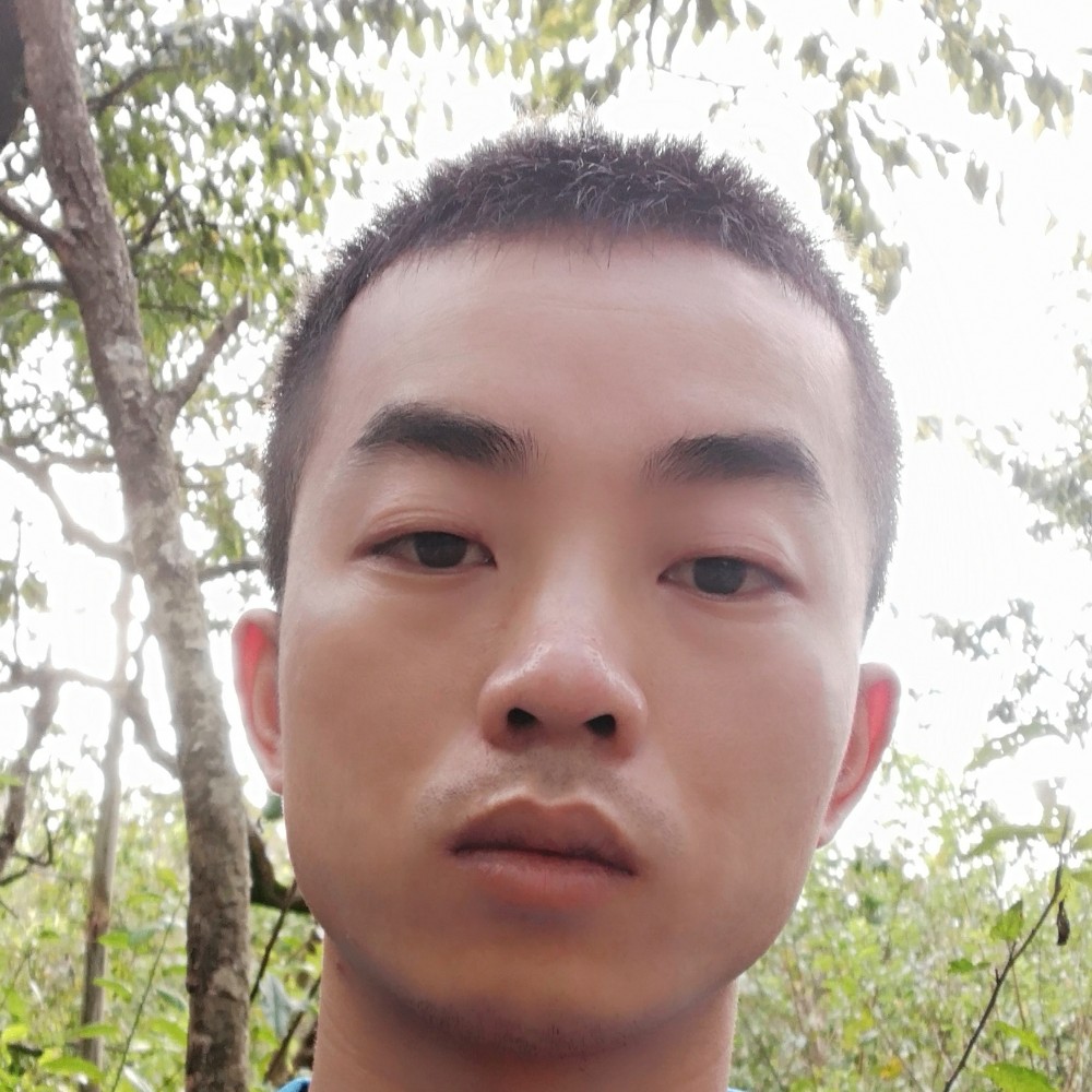 含糊回眸西牛的照片