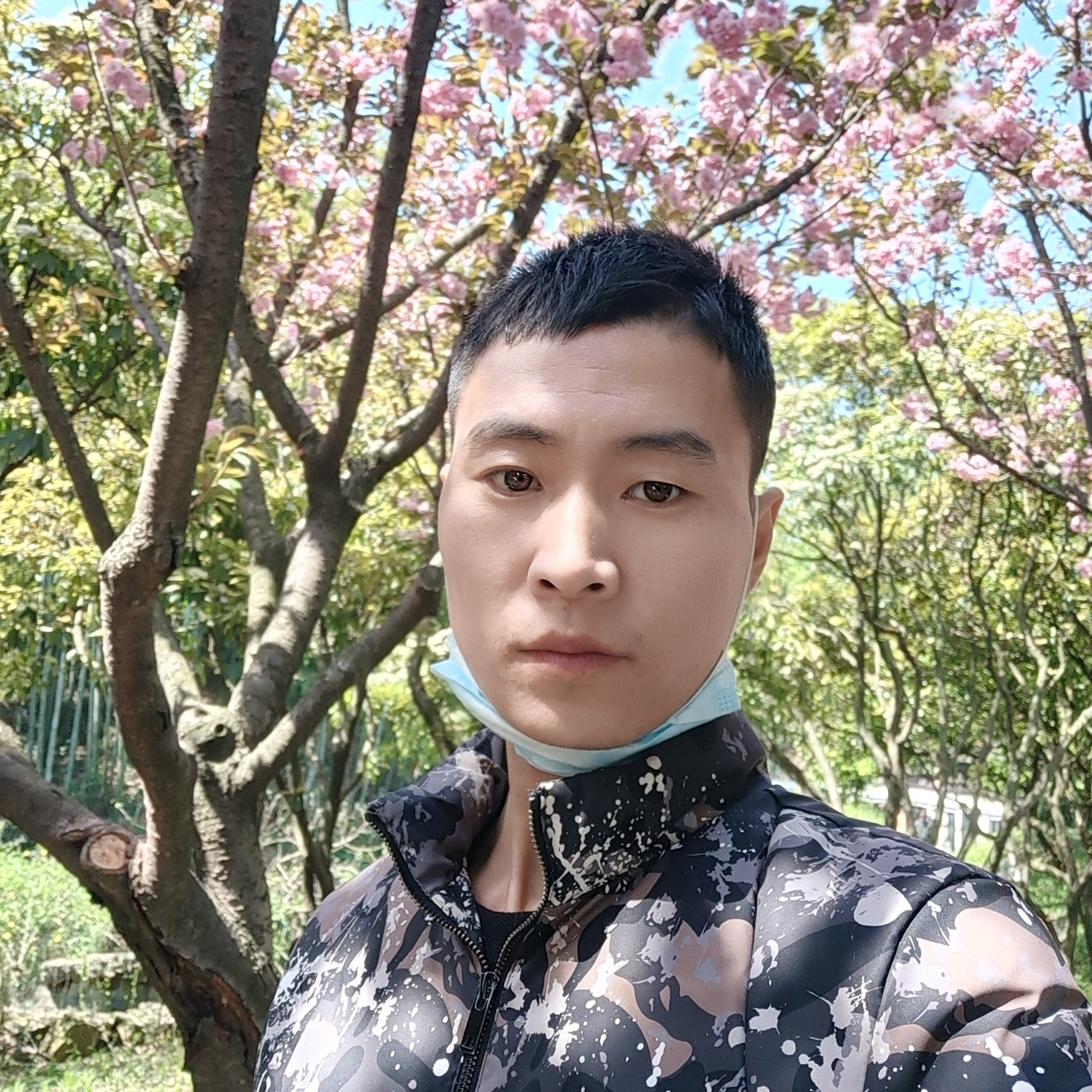 母鸡愿难过的照片